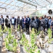 PRESIDENT BOKO HAILS SUCCESSFUL HEMP TRIALS AS KEY STEP IN ECONOMIC REBUILD