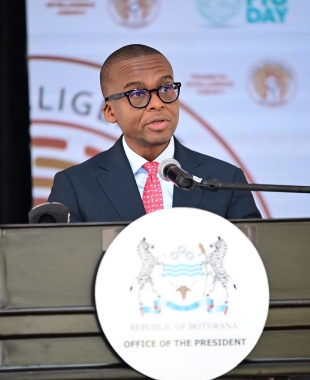 Vice President and Minister of Finance Ndaba Gaolathe