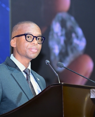 Vice President Ndaba Nkosinathi Gaolathe