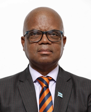 Hon.  Moeti  C. Mohwasa