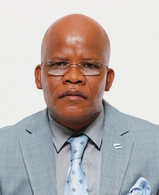 Hon. Motsamai Motsamai