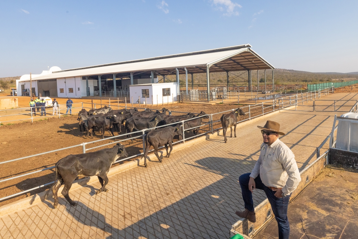 FIRST GIROLANDO ARRIVALS MARK NEW ERA FOR BOTSWANA’S DAIRY INDUSTRY