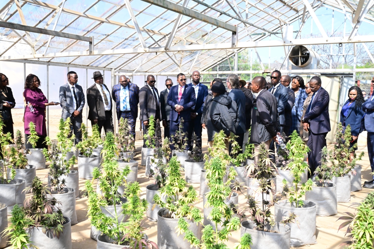 PRESIDENT BOKO HAILS SUCCESSFUL HEMP TRIALS AS KEY STEP IN ECONOMIC REBUILD